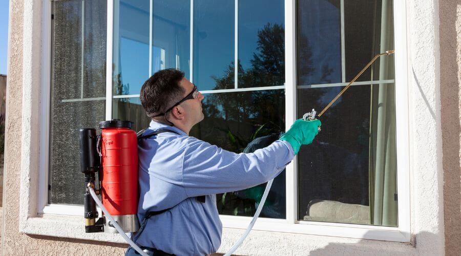 Professional pest control services in Essendon, Melbourne